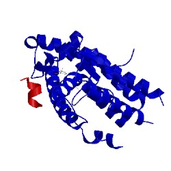 Image of CATH 4olm