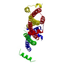 Image of CATH 4om2