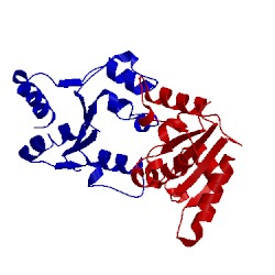 Image of CATH 4om7