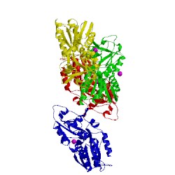 Image of CATH 4omb