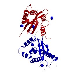 Image of CATH 4on3