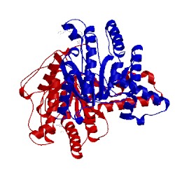 Image of CATH 4onc