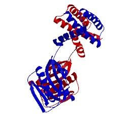 Image of CATH 4opa