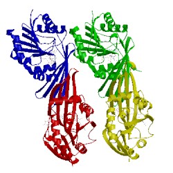 Image of CATH 4oqd