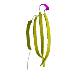 Image of CATH 4oqdD02