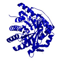 Image of CATH 4oqv
