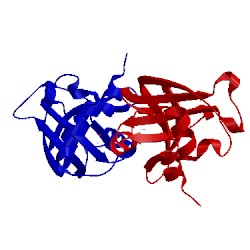 Image of CATH 4ot4