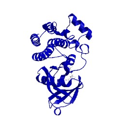 Image of CATH 4ot5