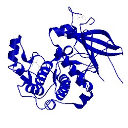 Image of CATH 4otd