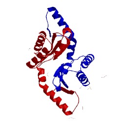 Image of CATH 4otn