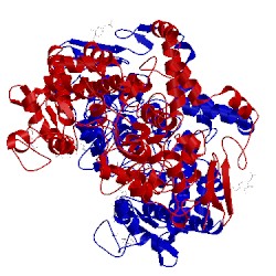Image of CATH 4oty