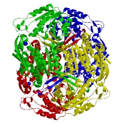 Image of CATH 4oub