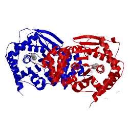 Image of CATH 4own