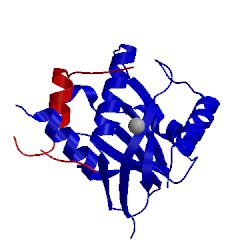 Image of CATH 4owp