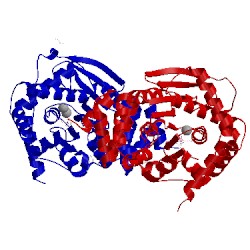 Image of CATH 4owq