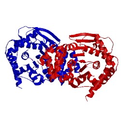 Image of CATH 4ows