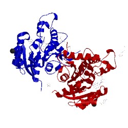 Image of CATH 4oxn