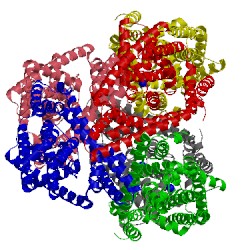 Image of CATH 4oyf