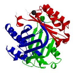 Image of CATH 4p01