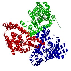 Image of CATH 4p1a