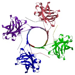 Image of CATH 4p1y