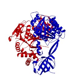 Image of CATH 4p22