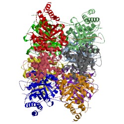 Image of CATH 4p2v