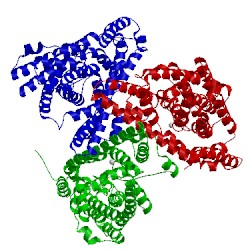 Image of CATH 4p3j