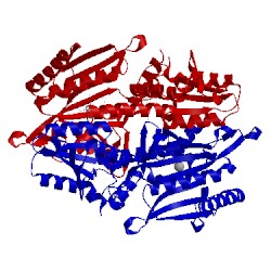 Image of CATH 4p3o