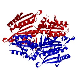 Image of CATH 4p3p
