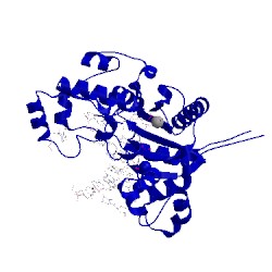 Image of CATH 4p4o