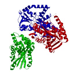 Image of CATH 4p56
