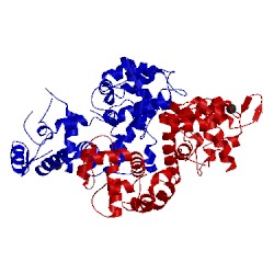 Image of CATH 4p5w