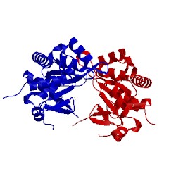 Image of CATH 4p6d
