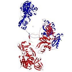 Image of CATH 4p75