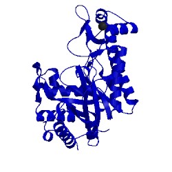 Image of CATH 4p7l
