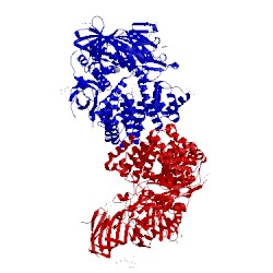 Image of CATH 4p8q