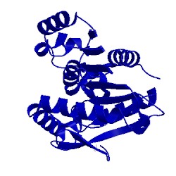 Image of CATH 4p92