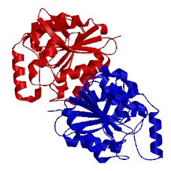 Image of CATH 4p93