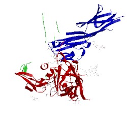 Image of CATH 4p9h