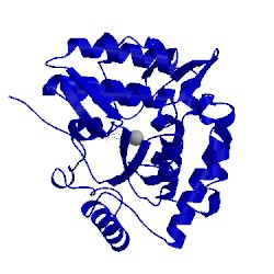 Image of CATH 4pah