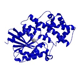 Image of CATH 4pao