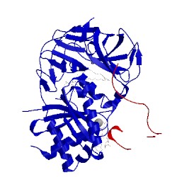 Image of CATH 4pc7