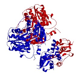 Image of CATH 4pcu