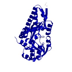 Image of CATH 4pdh