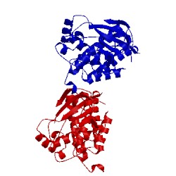 Image of CATH 4pdo