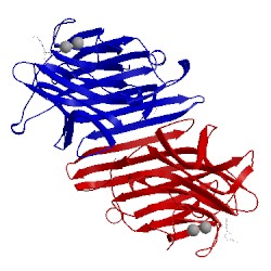 Image of CATH 4pf5