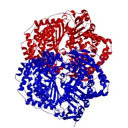 Image of CATH 4pfc