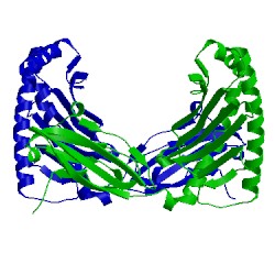 Image of CATH 4pgb