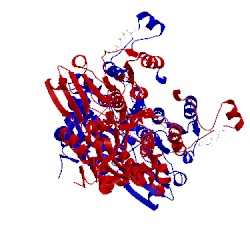 Image of CATH 4pgf